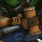 Shokka Attack Gun